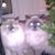 Marcie Kaplar's profile image
