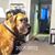 Peggy Pernell Sponaugle's profile image