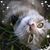 Brandy Blackburn's profile image
