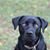 Korin Norton Taddei's profile image