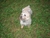 Mary S.'s profile image