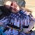 Shawna N. Borman's profile image