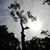Jeff Kinum's profile image