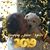 Terri Minyard Bock's profile image