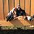 Carter Gappa's profile image