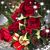 Juanita Pearce Pate's profile image