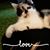Linda Carson's profile image