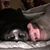 John Plumley's profile image