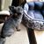 Janice Sawyer's profile image