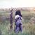 Michelle Provenzano- Variale's profile image