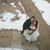Allison Palmer's profile image