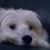 Terry Wiley's profile image