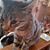 Elaine Gatlin's profile image