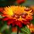 Mary Catalone's profile image