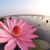 Beatriz Ramirez's profile image