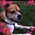 Donna Bryant Udal's profile image