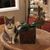 Joana Seidner's profile image