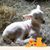 Susan Bennett's profile image