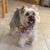 Linda Wright's profile image