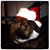 Renee Maurer Putman's profile image