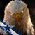 Raymond Easley's profile image