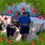 Lisa Purdy's profile image