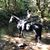 Gretchen Peterson-Porier's profile image