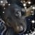 Elizabeth Wright's profile image