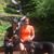Shelley Hill Wilson's profile image