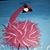 Nancy B Conner's profile image