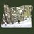 Douglas Werner's profile image