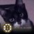Gina Demers's profile image
