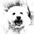 Sandy Joyce's profile image
