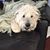 Susan Lagasse Mostowy's profile image