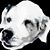 Fletcher Thedogof Foisters's profile image