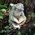 Ann Weigand's profile image