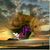 Tabby Utterback's profile image