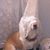 Simon Loynes's profile image