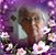 Betsy Cook Madison's profile image