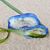 Mary Ann Haas's profile image