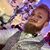 Corey Rothe Trahan's profile image
