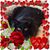 Karen L Duffey's profile image