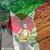 Salma Soso Bx's profile image