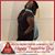 Kristy Holloway's profile image