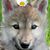 Tom Kay's profile image