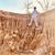 Chinnathan Wachirathaweesub's profile image