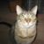 Jonette James's profile image