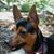 Karen Billings's profile image