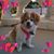 Sandra Scott's profile image