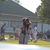 Amy Kooima Christopherson's profile image
